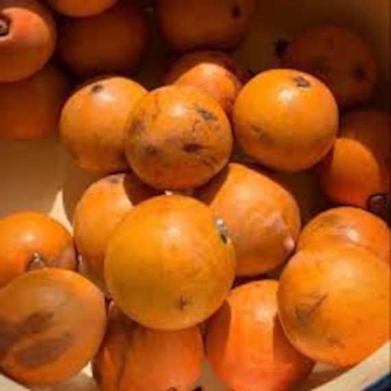 20 PCS Agbalumo doux_Goût de sucre Agbalumo_ LISEZ LES DÉTAILS avant D’ACHETER