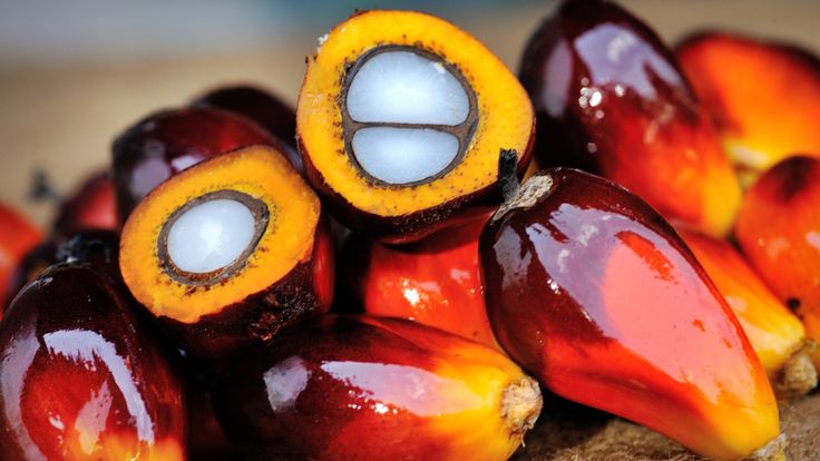 Ask Umbra_ Is somebody sneaking palm oil into my food and shampoo_
