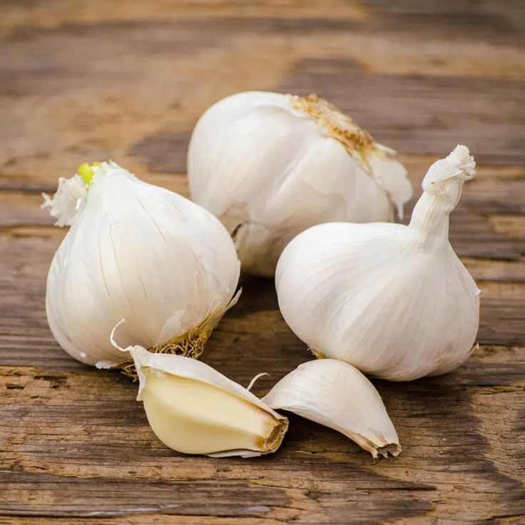 Best Types of Garlic You Can Grow in Your Climate – The Beginner’s Garden