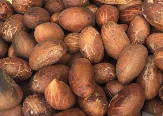 Bitter kola(Garcinia kola), good for planting and consumption, 100g seeds cost(10 USD), shipping cost(10 USD), Phyto certificates (12 USD)_ (1)