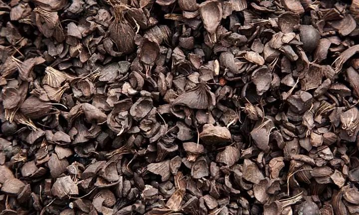 Charcoal Machine To Help Making Palm Kernel Shell Charcoal