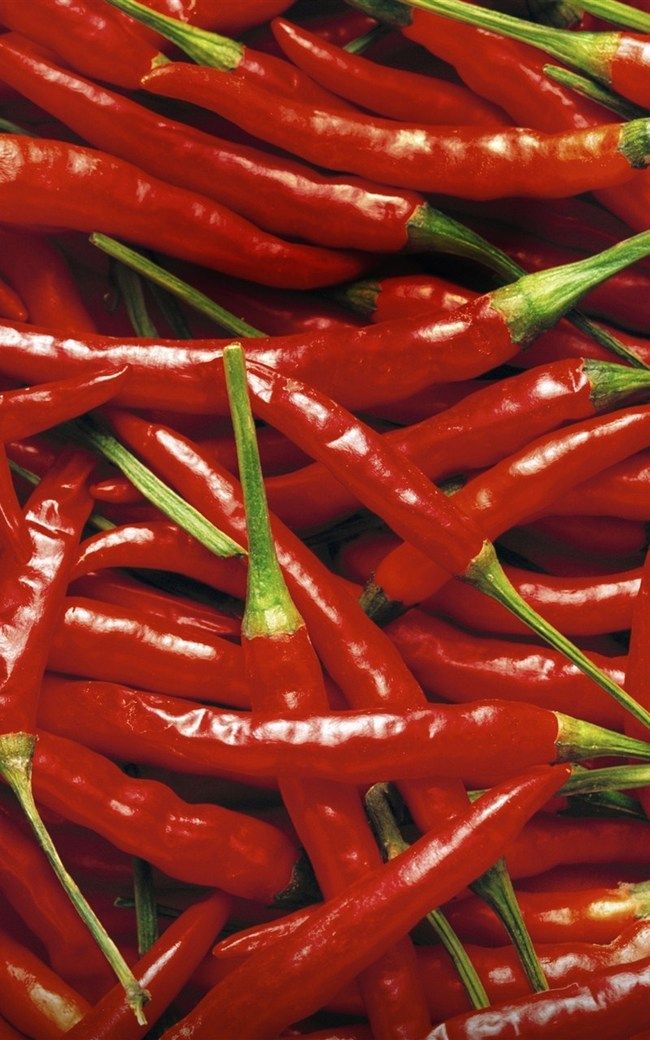 Cozinhar, Produtos Hortícolas, Spice Imagens de fundo gratuitas, A Pimenta De Caiena Chili Pimenta Hot Pepper Background Foto PNG e vetores de fundo