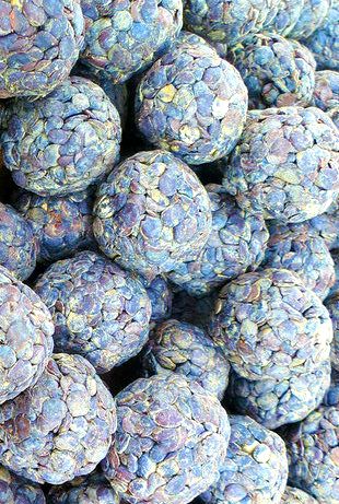 HERE’S WHAT YOU STAND TO GAIN FROM THE AFRICAN LOCUST BEANS