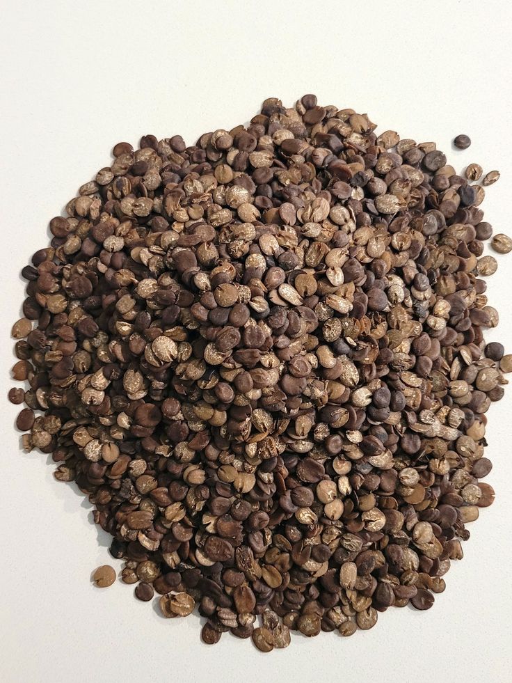 Locust beans (iru_netetou_afiti) unfermented