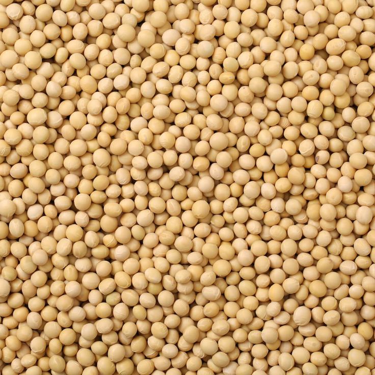 Organic Soya Beans – 2kg