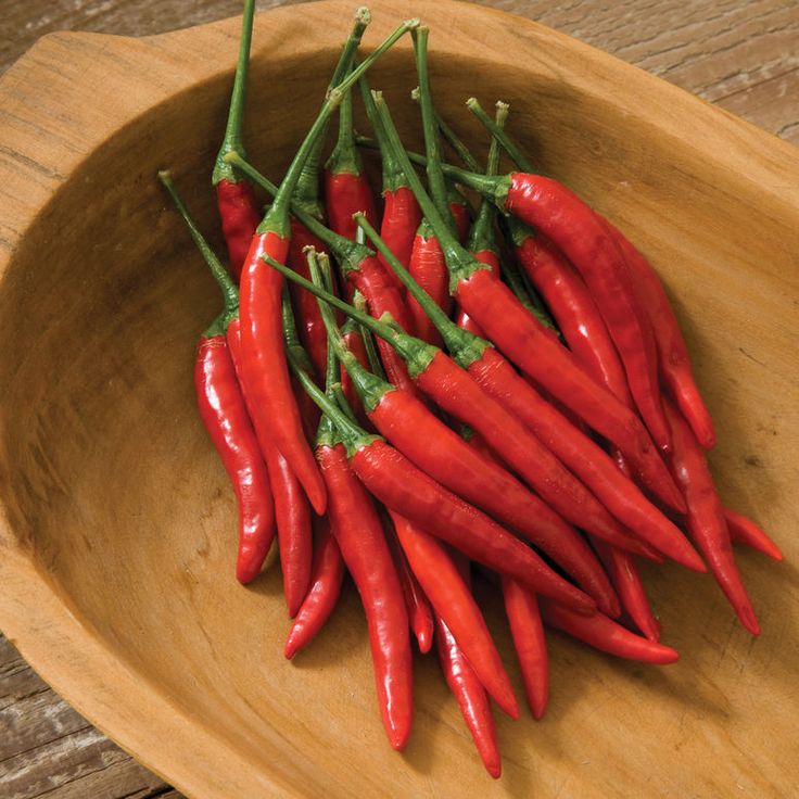 Pepper Seeds – Organic & Heirloom Varieties _ Johnny’s Selected Seeds