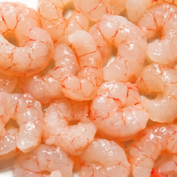 Premium Pacific Wild Caught Frozen Salad Shrimp – A Taste of the Ocean’s Delight
