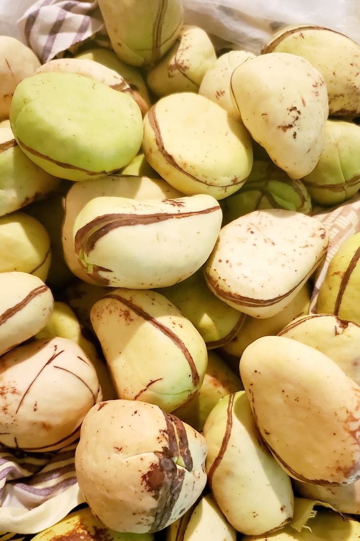 White kola nuts_ 1lbs