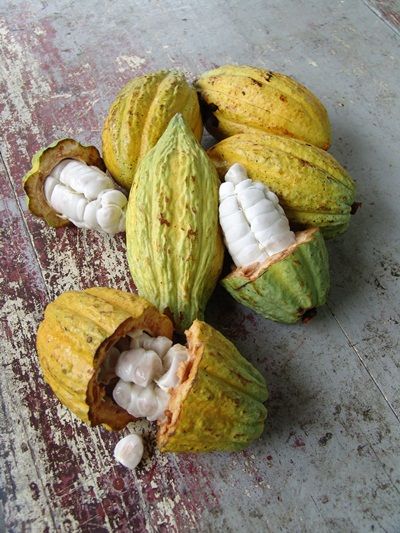 Why Should You Use Cocoa Butter_ It’s UhMaaaZing!