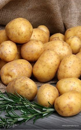 how to plant potatoes potatoes garden potatoes idea potato planting plant indoor plant house plant p